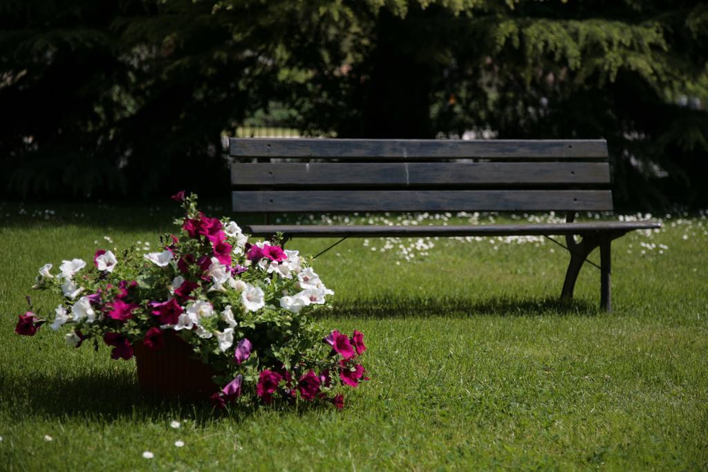 Hotel Bassetto Ferentino Kültér fotó