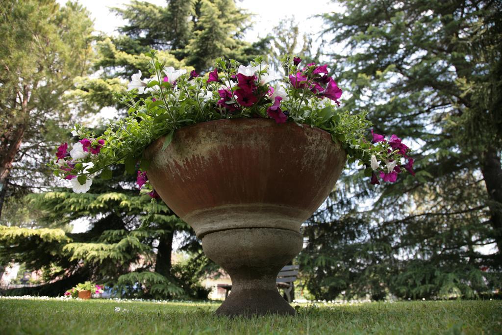 Hotel Bassetto Ferentino Kültér fotó