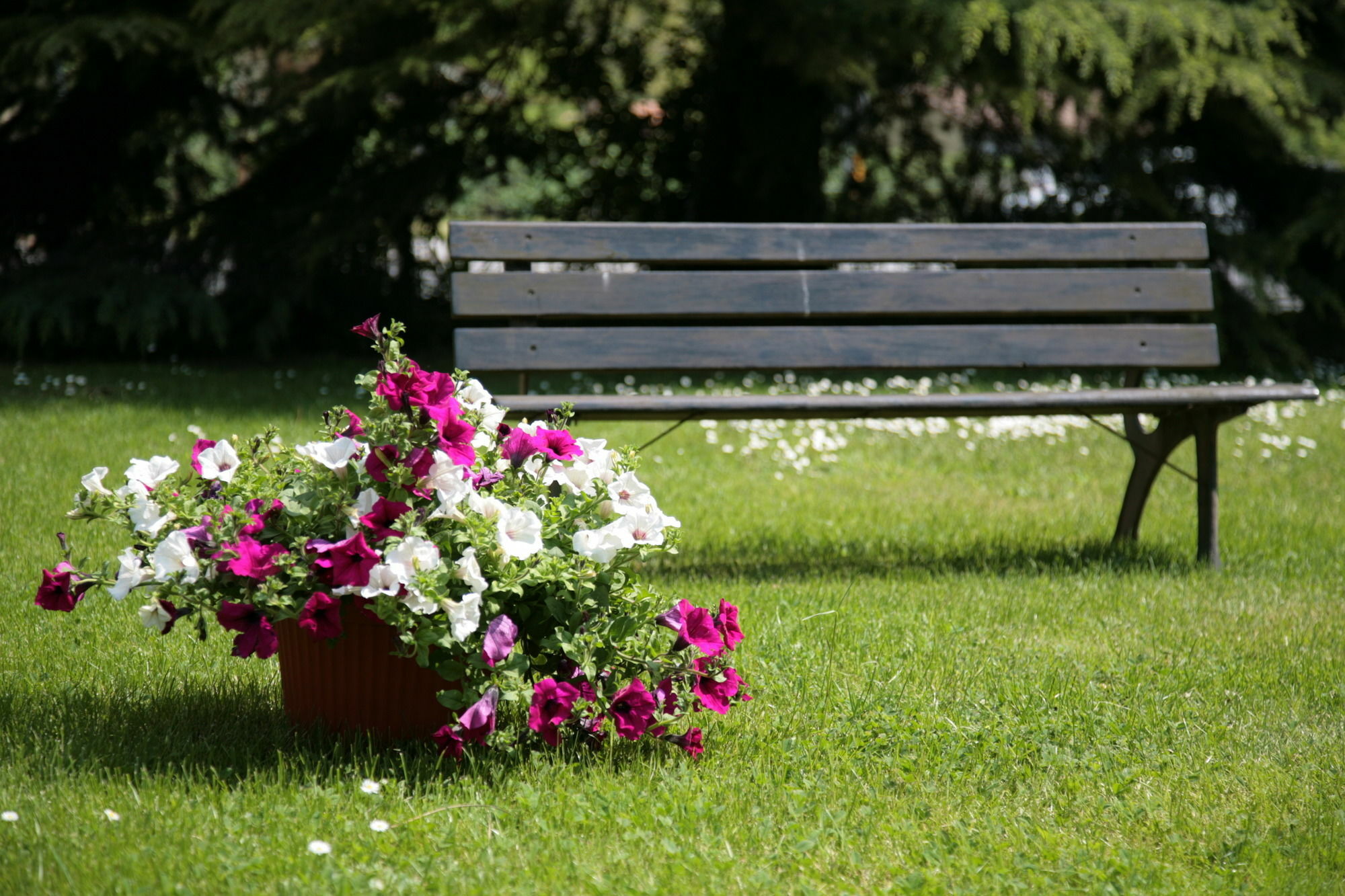 Hotel Bassetto Ferentino Kültér fotó